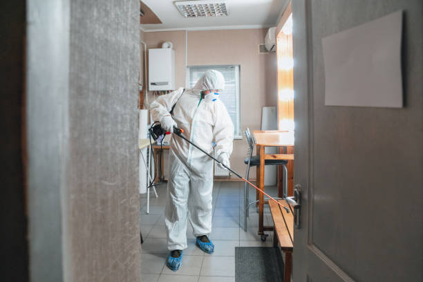 Best Mold Odor Removal Services  in Gridley, CA