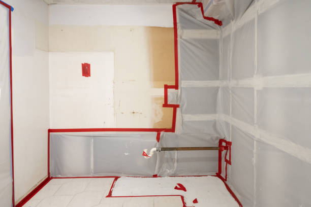  Gridley, CA Mold Removal Pros
