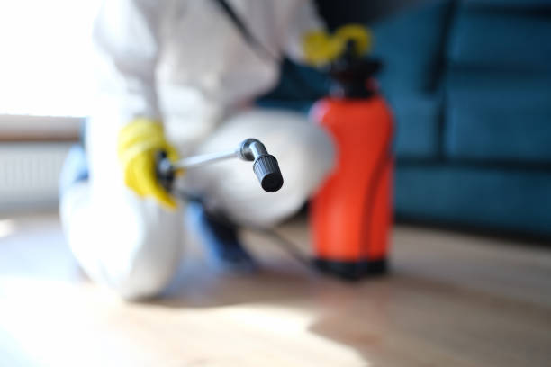Best Post-Construction Mold Inspection  in Gridley, CA