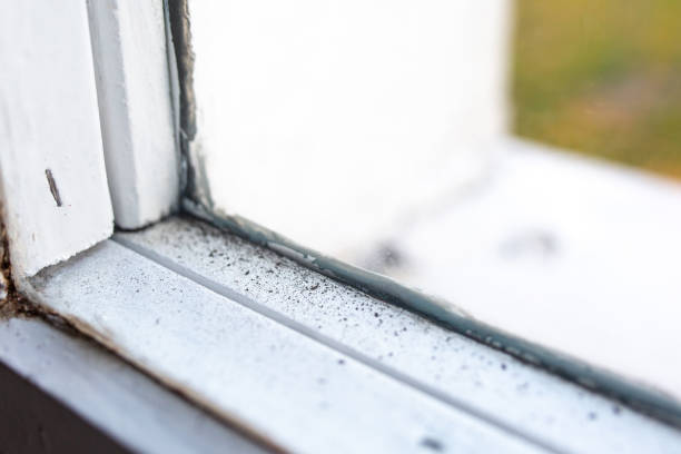 Best Airborne Mold Testing  in Gridley, CA